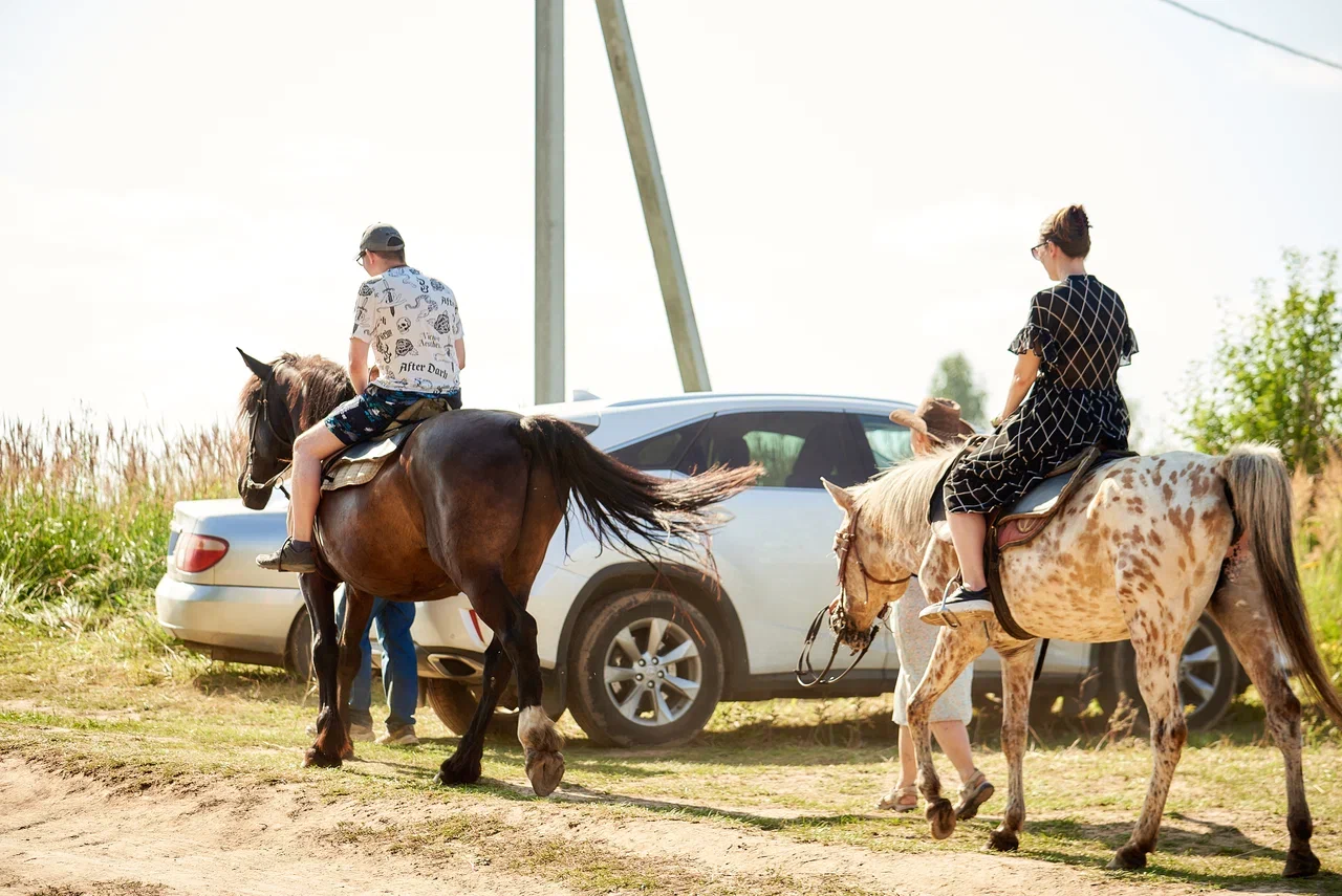 Прогулки на лошадях в нижнем новгороде на базе отдыха остров приключений