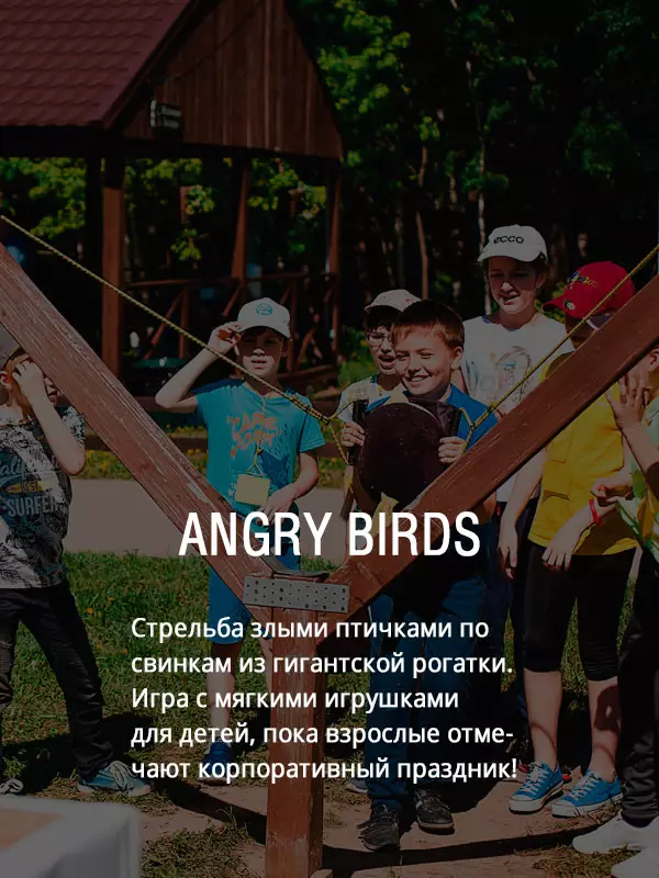 Angry Birds для детей