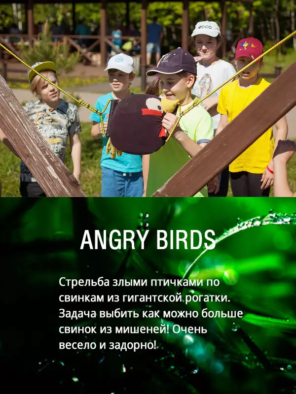 angry birds из гигантской рогатки