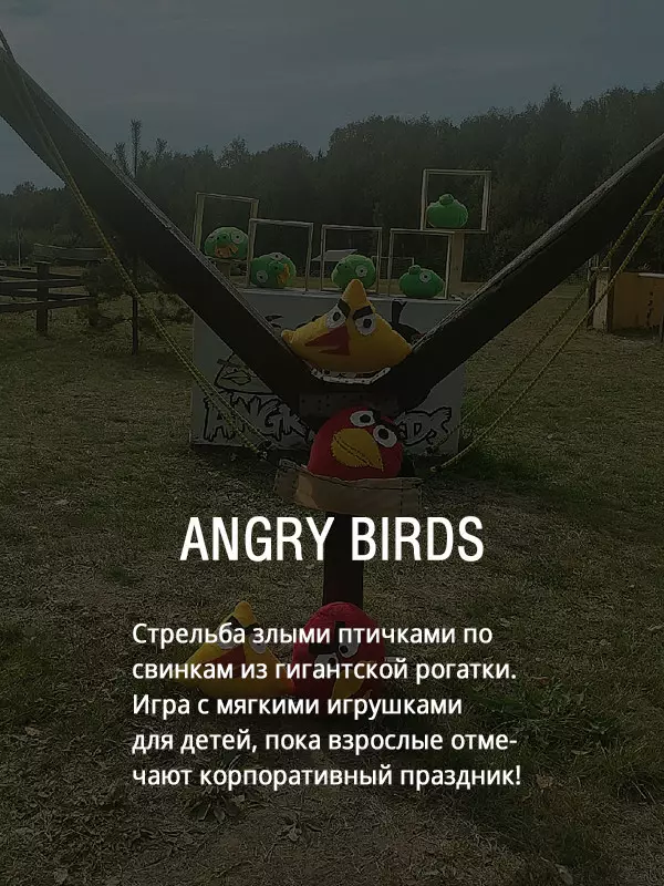 angry birds