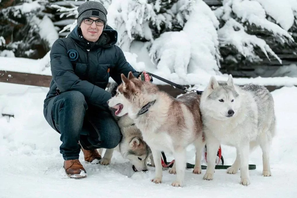 фотозона с животными в Нижнем Новгороде на базе отдыха Остров Приключений