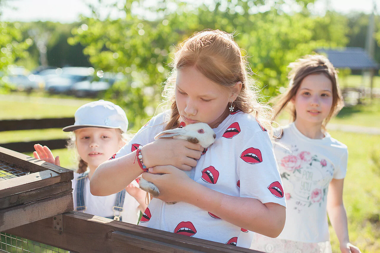Выпускной 4 класса в нижнем новгороде на базе отдыха остров приключений 14
